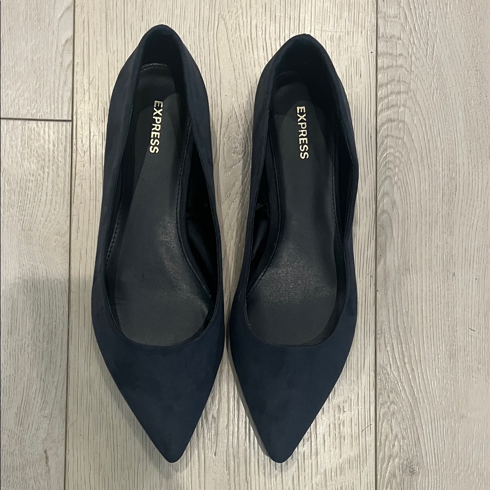 Express Women's Elegant Dark Blue Pointed Flats
